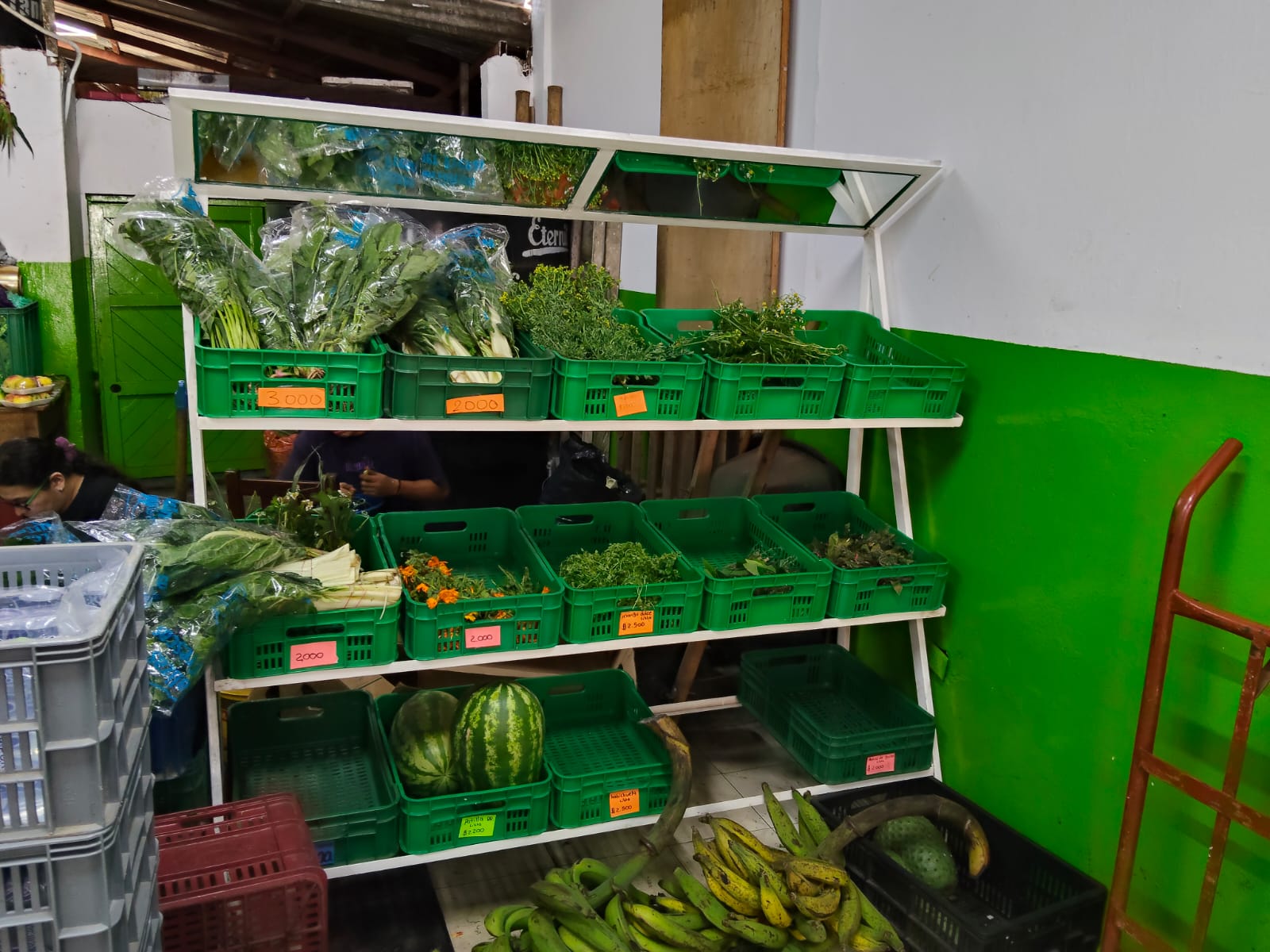 Verduras