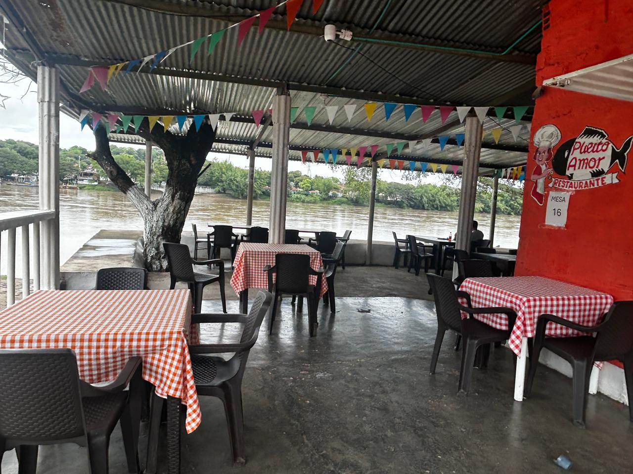 Bocachico