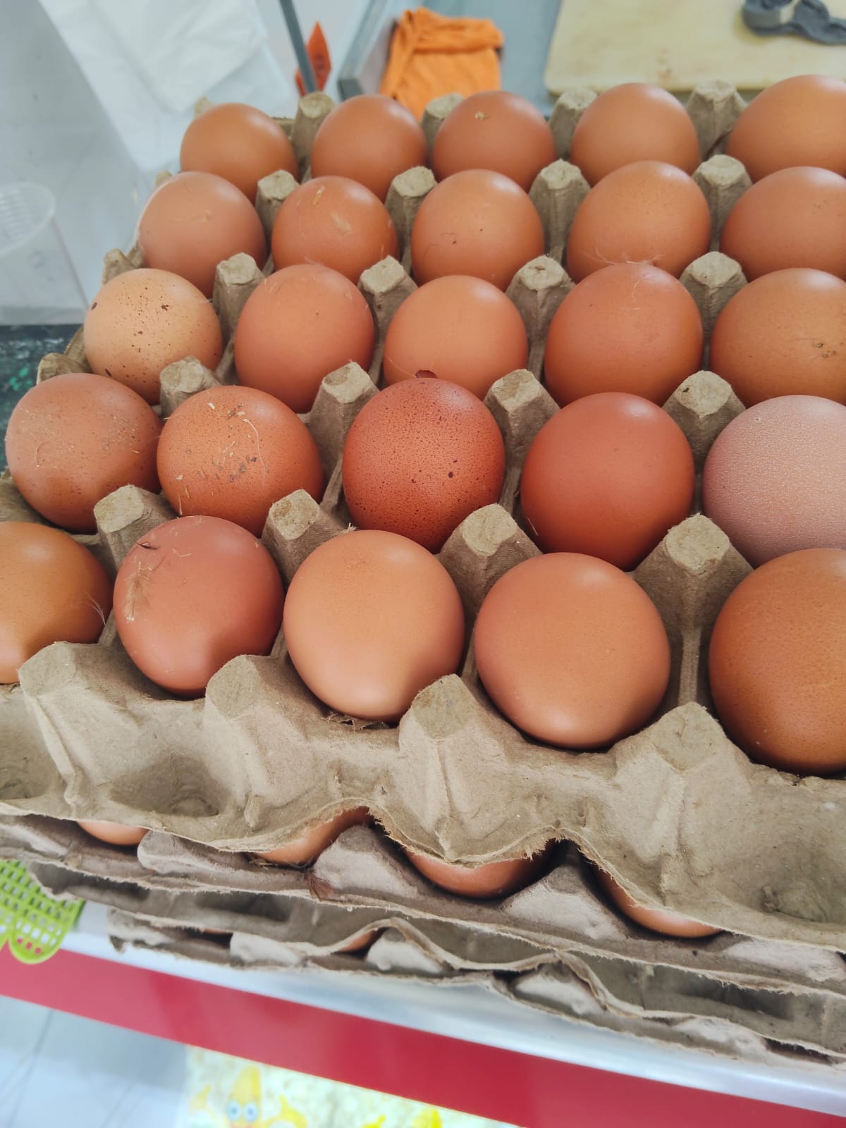 Huevos