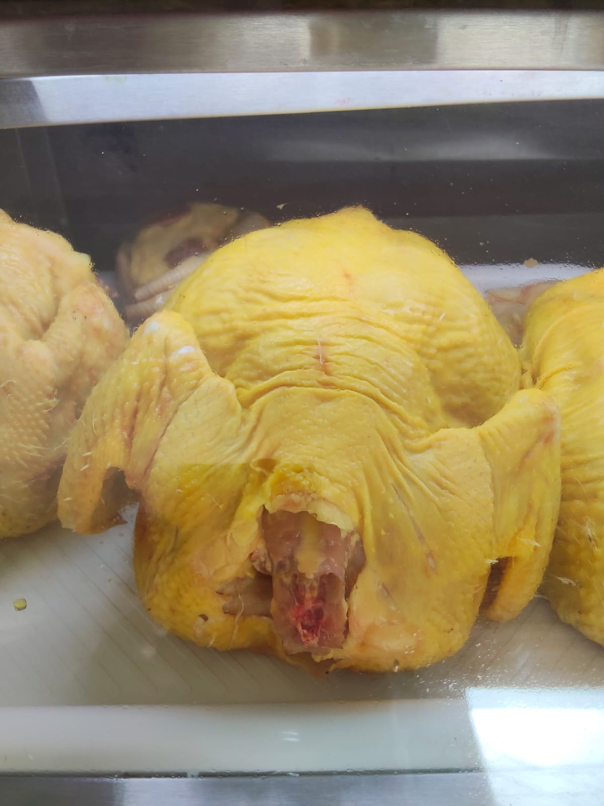 Pollo criollo