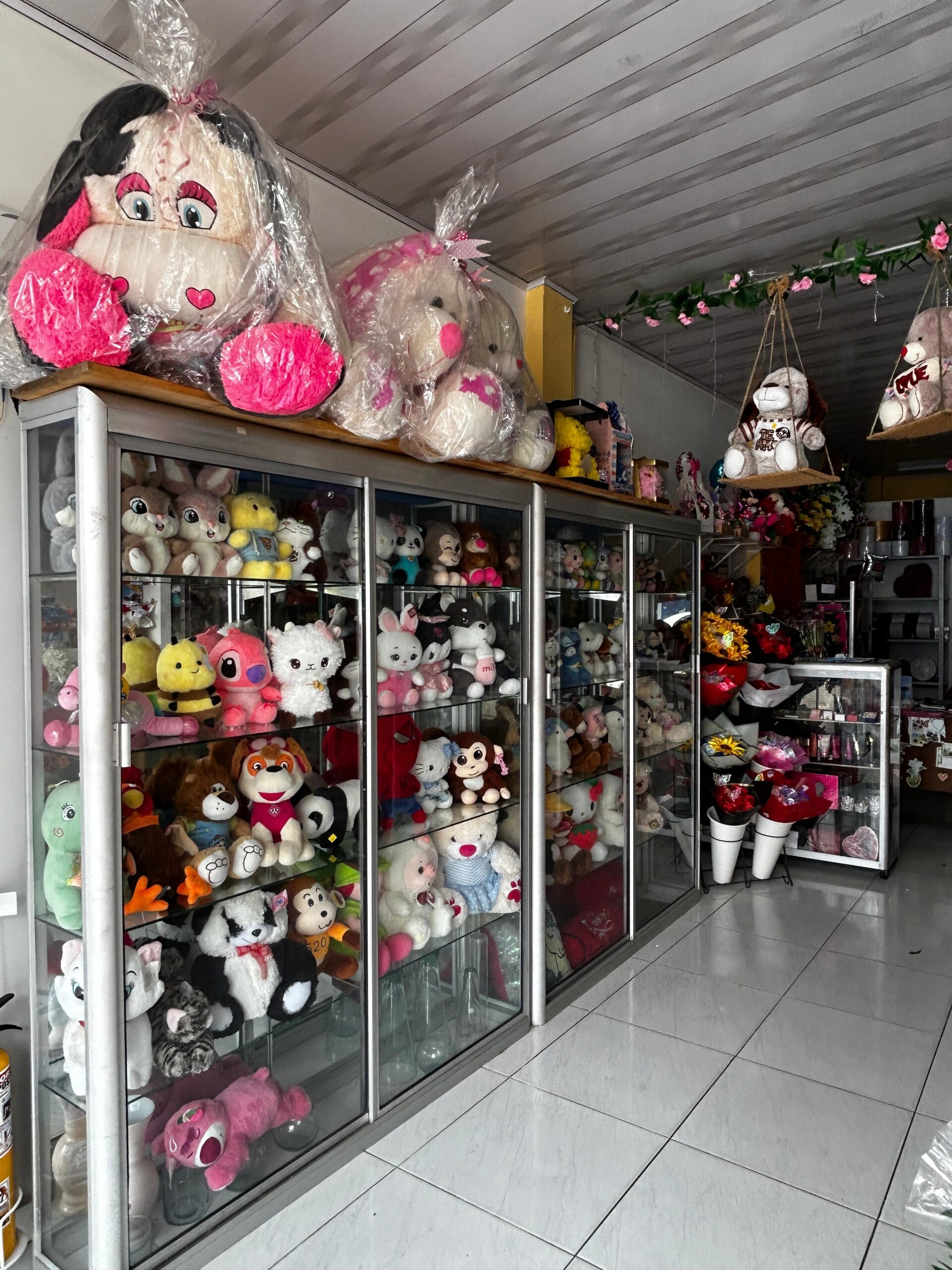 Peluche